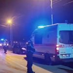 Aksident në Lushnjë, makina përplas një endacak dhe largohet me shpejtësi nga vendngjarja