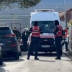 Vrau burrin me sëpatë në Sarandë, mbyllet në spital psikiatrik 48-vjeçarja