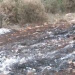 Detaje të reja nga gjetja e trupit të karbonizuar në Greqi, mbeti në automjet për të paktën 24 orë