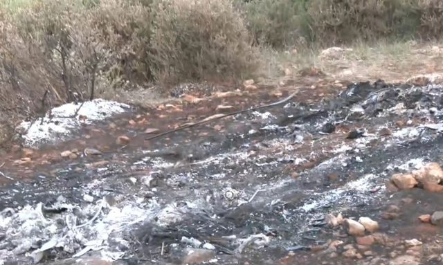 Detaje të reja nga gjetja e trupit të karbonizuar në Greqi, mbeti në automjet për të paktën 24 orë