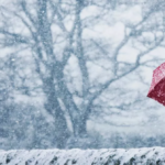 Viti 2026 nis me stuhi dimërore, sinoptikania: Ngricat dhe dëbora pushtojnë gjithë Shqipërinë