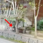 I dogji 44-vjeçarit makinën me vlerë rreth 100 mijë euro, pas sherrit, arrestohet i riu në Tiranë