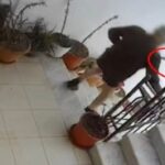 Durrës, i moshuari tenton të godasë gruan me sende të forta në kokë