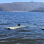 Rrëzohet avioni në Maqedoninë e Veriut, plagosen dy shqiptarë nga..