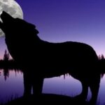 Sonte mos harroni të shihni ‘Hënën e Ujkut’! Shenjat e horoskopit që do të preken nga ky fenomen