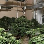 Zbulohet një tjetër “shtëpi bari” në Sarandë, apartamenti në një pallat disakatësh