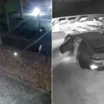 Grabiti vilën natën e Vitit të Ri/ Arrestohet hajduti shqiptar në Itali