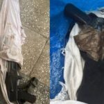 Dyshohet se vranë një person në vitin 2018 në Dibër, arrestohen 2 vëllezërit!