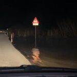 Vjosa doli nga shtrati, uji hyn edhe në autostradën Vlorë-Levan