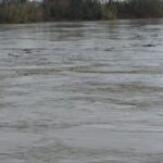 Fier/ Tokat bujqësore ende nën ujë, prurjet në lumenjtë Seman dhe Shkumbin në tendence rritjeje