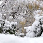 Tre persona të bllokuar prej orësh në malet e Gramshit, Policia niset për t’i gjetur