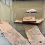 Reshjet përmbytin Qarkun e Lezhës, familje të izoluara në Kurbin