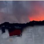 Stalla përfshihet nga flakët në Vlorë, 22 lopë e viça të djegur (Detaje)