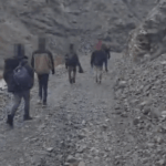 Korçë/ Ndihmoi 6 emigrantë të kalojnë ilegalisht kufirin nga Greqia drejt Shqipërisë, arrestohet 24 vjeçari