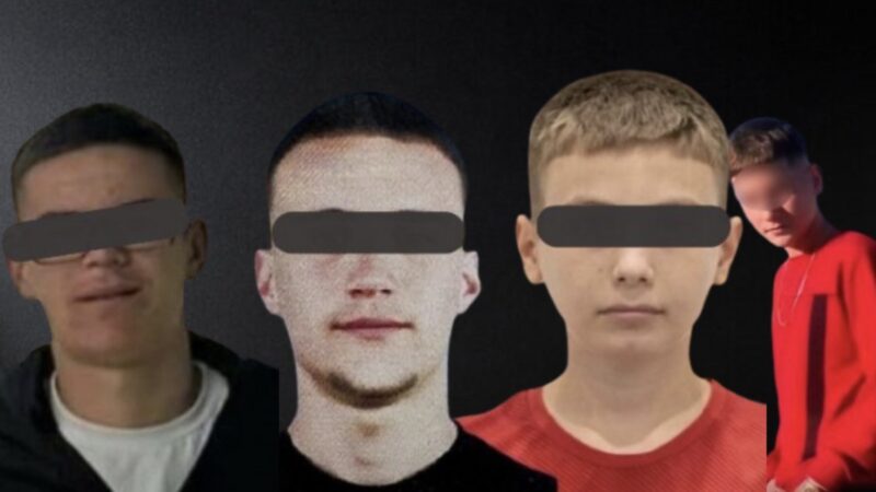 Një vit pa TikTok me vrasje, dhunë dhe mashtrime, për çfarë shërbeu urdhri i Ramës?