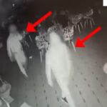 Dy të rinj janë arrestuar nga policia pasi dyshohen si autorë të disa vjedhjeve