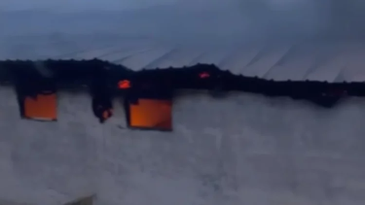 Bie zjarr në një stallë në Selenicë, digjen 22 lopë dhe viça