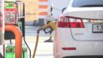 Ekspertët: Ulja e akcizës s’jep efekt, duhet hequr fare pasi e dyfishon çmimin e naftës