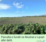 EKSKLUZIVE/ Toka që “kërkon të Zotin”: Bashkia e Filatit nxjerr në tender pronat e çamëve, dokumenti që zbulon emrin e Veip Sulejmanit