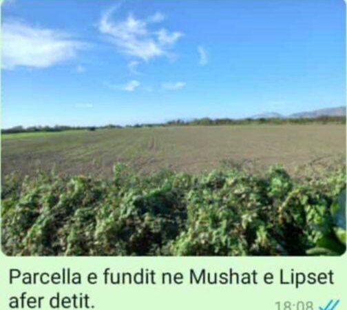 EKSKLUZIVE/ Toka që “kërkon të Zotin”: Bashkia e Filatit nxjerr në tender pronat e çamëve, dokumenti që zbulon emrin e Veip Sulejmanit