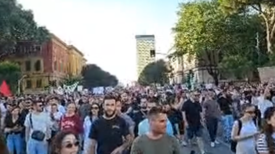 Investimi në Zvërnec/ Mbahet në Tiranë protesta e thirrur nga ambientalistë e aktivistë