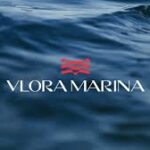 Vlora Marina apo VEFA? Ngjashmëria e logos rikthen kujtimet e hidhura të viteve 1996–1997