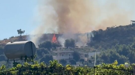 Zjarr në lagjen ‘15 Tetori’ në Vlorë, flakët përfshijnë një hapësirë me pisha e shkurre