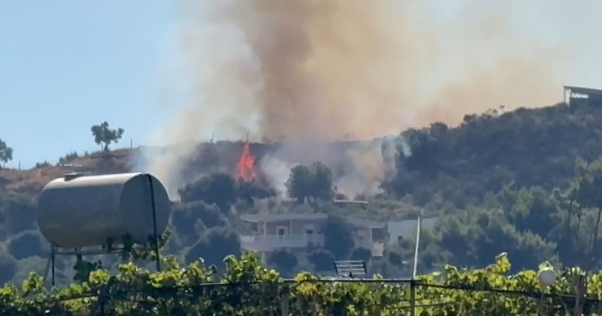 Zjarr në lagjen ‘15 Tetori’ në Vlorë, flakët përfshijnë një hapësirë me pisha e shkurre