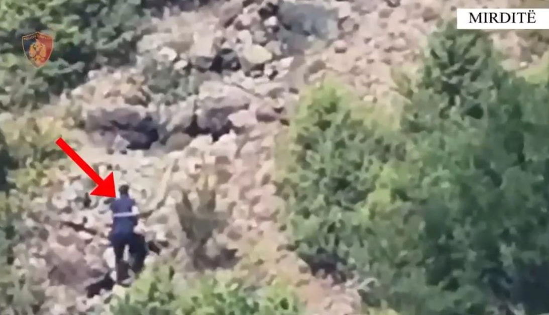 62-vjeçari kapet sërish duke ndezur zjarr në Mirditë, arrestohet nga policia