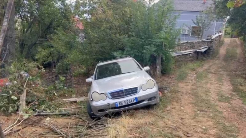 Nuk kapi frenat e dorës, makina rrëshqet dhe e zë poshtë, humb jetën 44-vjeçari në Maliq