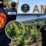 Të shtëna me armë në Qafështamë gjatë operacionit antidrogë