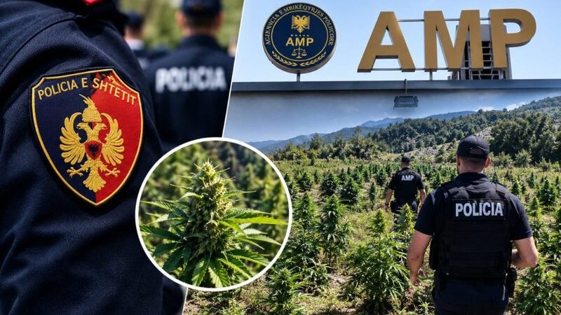 Të shtëna me armë në Qafështamë gjatë operacionit antidrogë