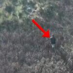 Pranga të riut në Fier! Arrestohet edhe një 60-vjeçar për zjarrvënie, nën hetim dy të moshuar