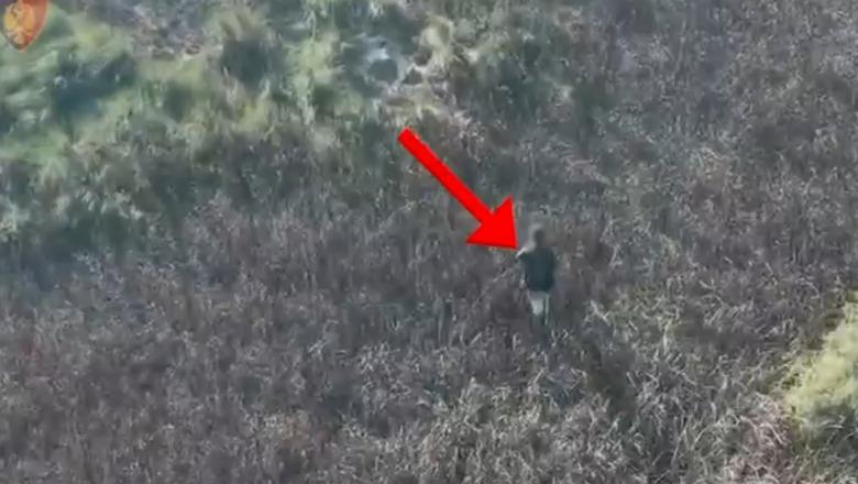 Pranga të riut në Fier! Arrestohet edhe një 60-vjeçar për zjarrvënie, nën hetim dy të moshuar