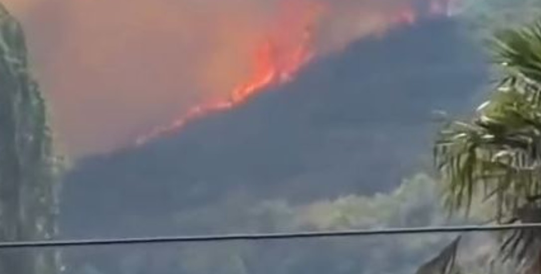 Një zjarr i përmasave të konsiderueshme ka përfshirë kodrat e Myselimit dhe Bardhajve në zonën e Shkodrës, duke rrezikuar edhe banesat