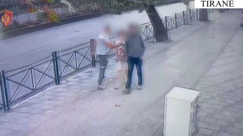 Autorë të disa vjedhjeve, arrestohen 3 persona ne Tiranë dhe Rinas